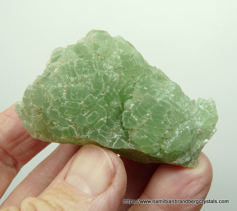 A small, well-formed prehnite crystal with other crystals on matrix