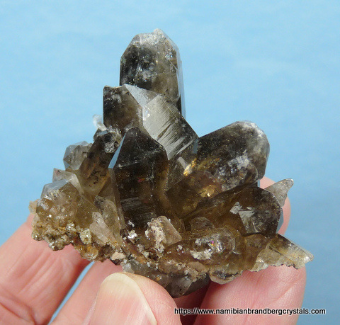 Amethyst cactus quartz crystal