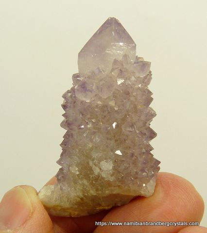 Light amethyst cactus quartz crystal