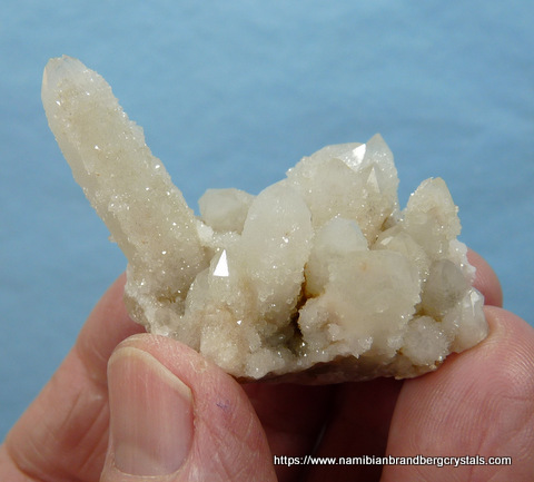 Whitish cactus quartz crystal group