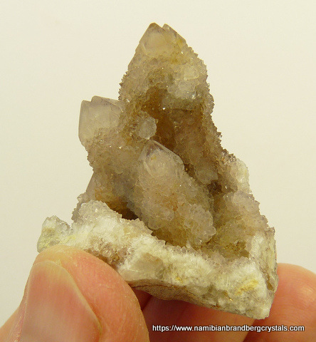 Cactus quartz crystal group on matrix