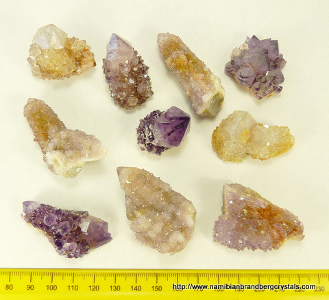 Ten cactus quartz specimens, in varying shades.