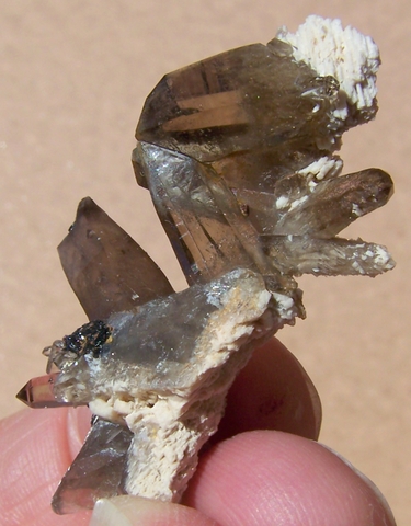 Interesting arrangement of smoky quartz crystals, feldspar & bits of schorl