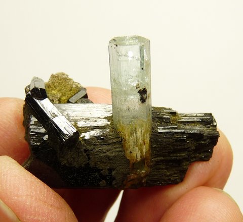 Aquamarine crystal with gemmy termination on schorl crystal matrix