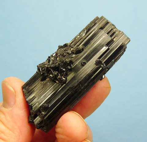 Double / multi-terminated black tourmaline (schorl) crystal with shiny, jet black colour and lovely lustre