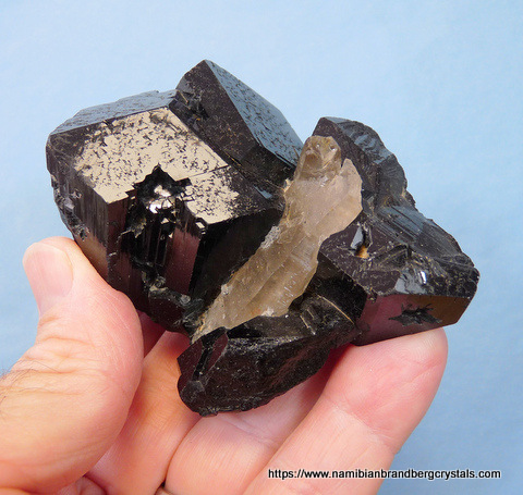 Schorl crystal group with embedded smoky quartz