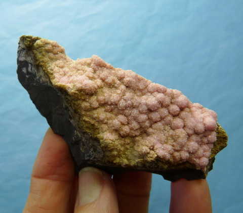 Lavender to pink, botryoidal rhodochrosite crystals on matrix