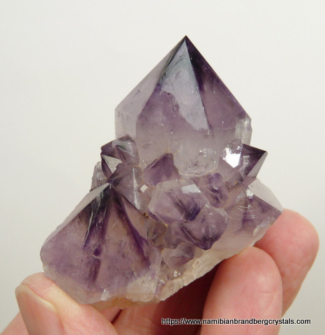 Amethyst cactus quartz crystal group with inclusions