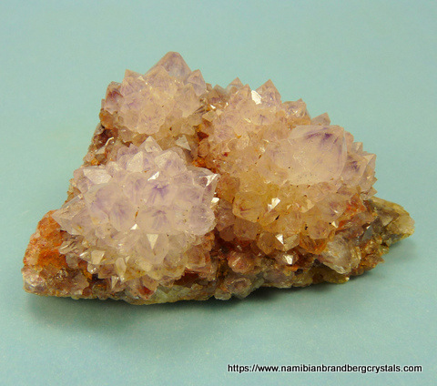 Beautiful "flowers" of light cactus quartz crystals on matrix