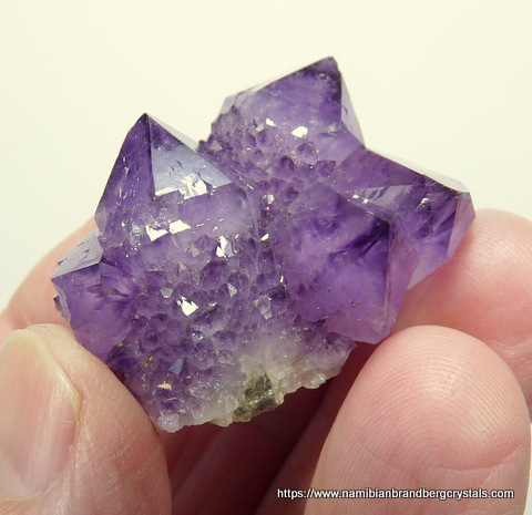 Dark amethyst cactus quartz crystals