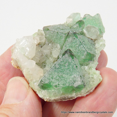 Well-formed green fluorite crystals with a thin, partial coating of quartz, on matrix