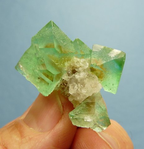 Gemmy, green, octohedral fluorite crystals on matrix