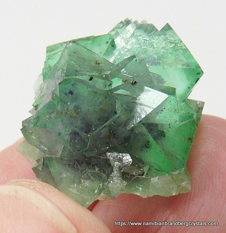 Stunning, gemmy, vivid green fluorite crystal group with purple interior and inclusions