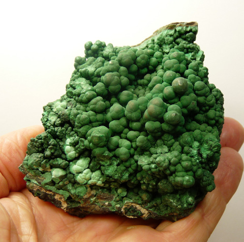 Botryoidal malachite on a conglomorate matrix