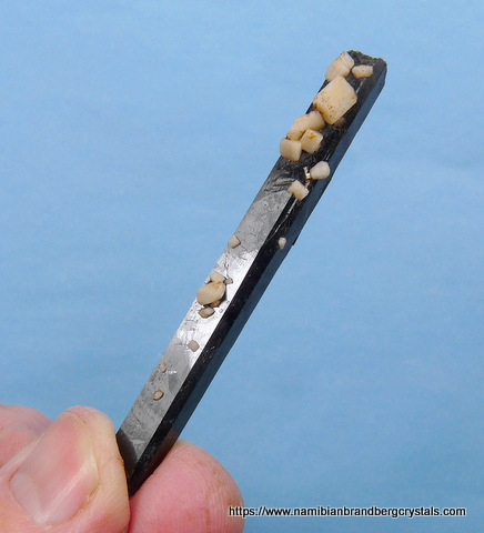 An aegirine crystal with small feldspar crystals on its surface.